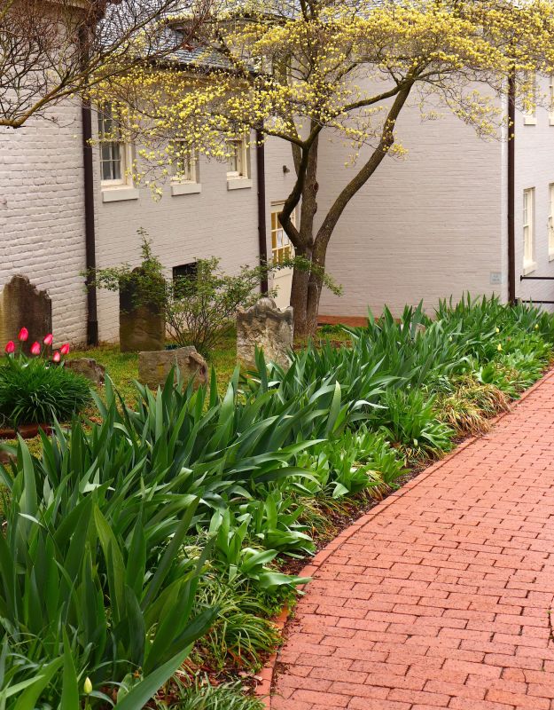 Brick Pathway Repair in Seneca, SC