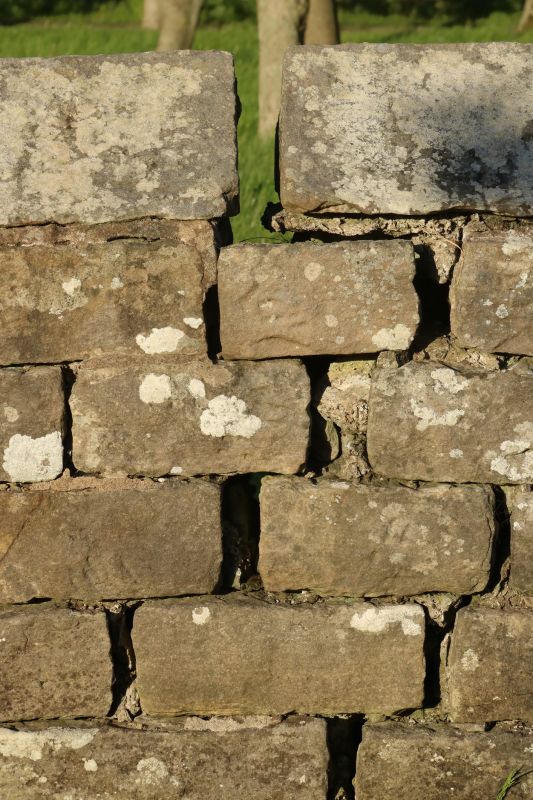 Stone Wall Repair in Hartwell, GA